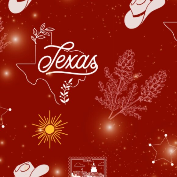 Texas Themed Car Coasters - Picture 2 of 2